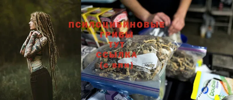 Псилоцибиновые грибы Psilocybine cubensis  ОМГ ОМГ рабочий сайт  Вельск  где можно купить наркотик 